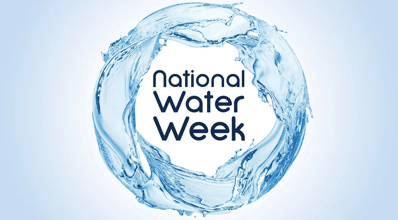 3 Steps you can take to protect our precious Waterways?