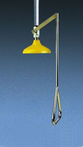 SE220 Emergency Deluge Shower Head (Ceiling Mounted)