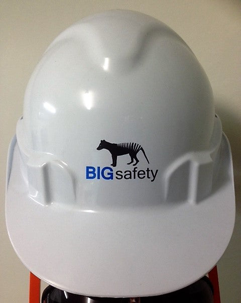 V6 Vented Hard Hat