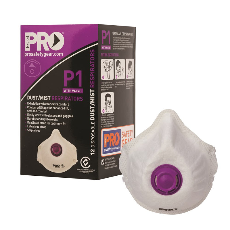 Disposable P1 Mask with Valve