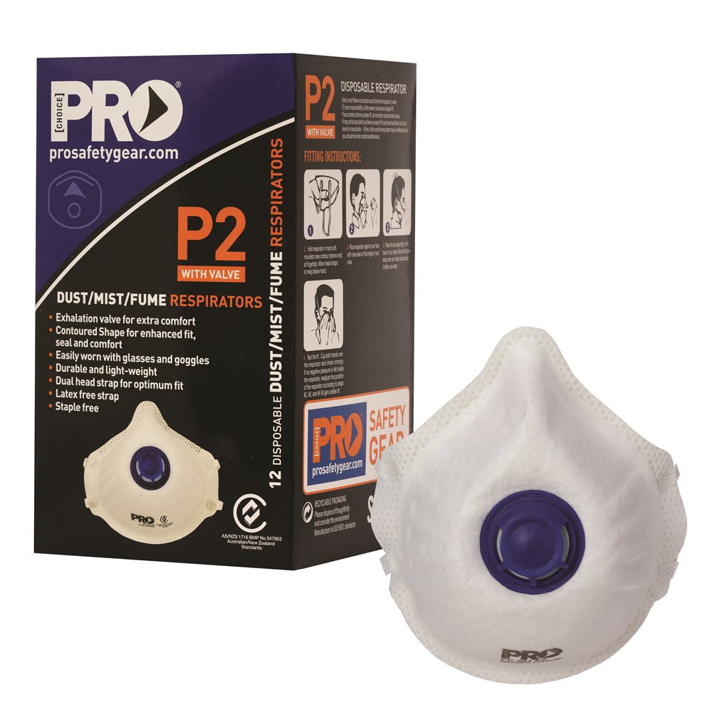 Disposable P2 Mask with Valve
