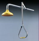 SE227 Emergency Deluge Shower Head (Wall Mounted)