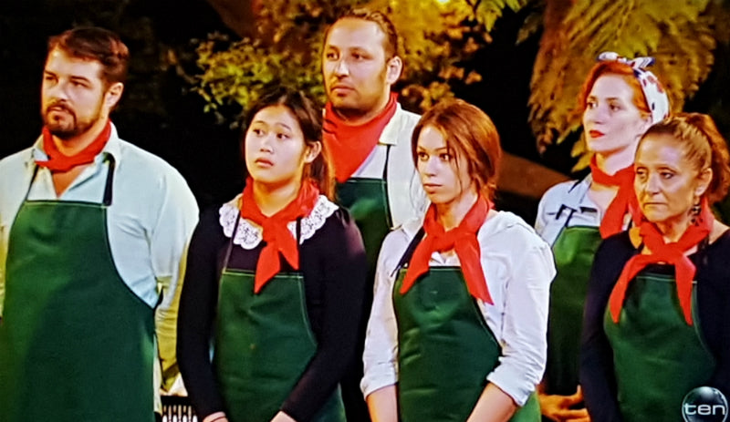 Apron Proban Flame Retardant